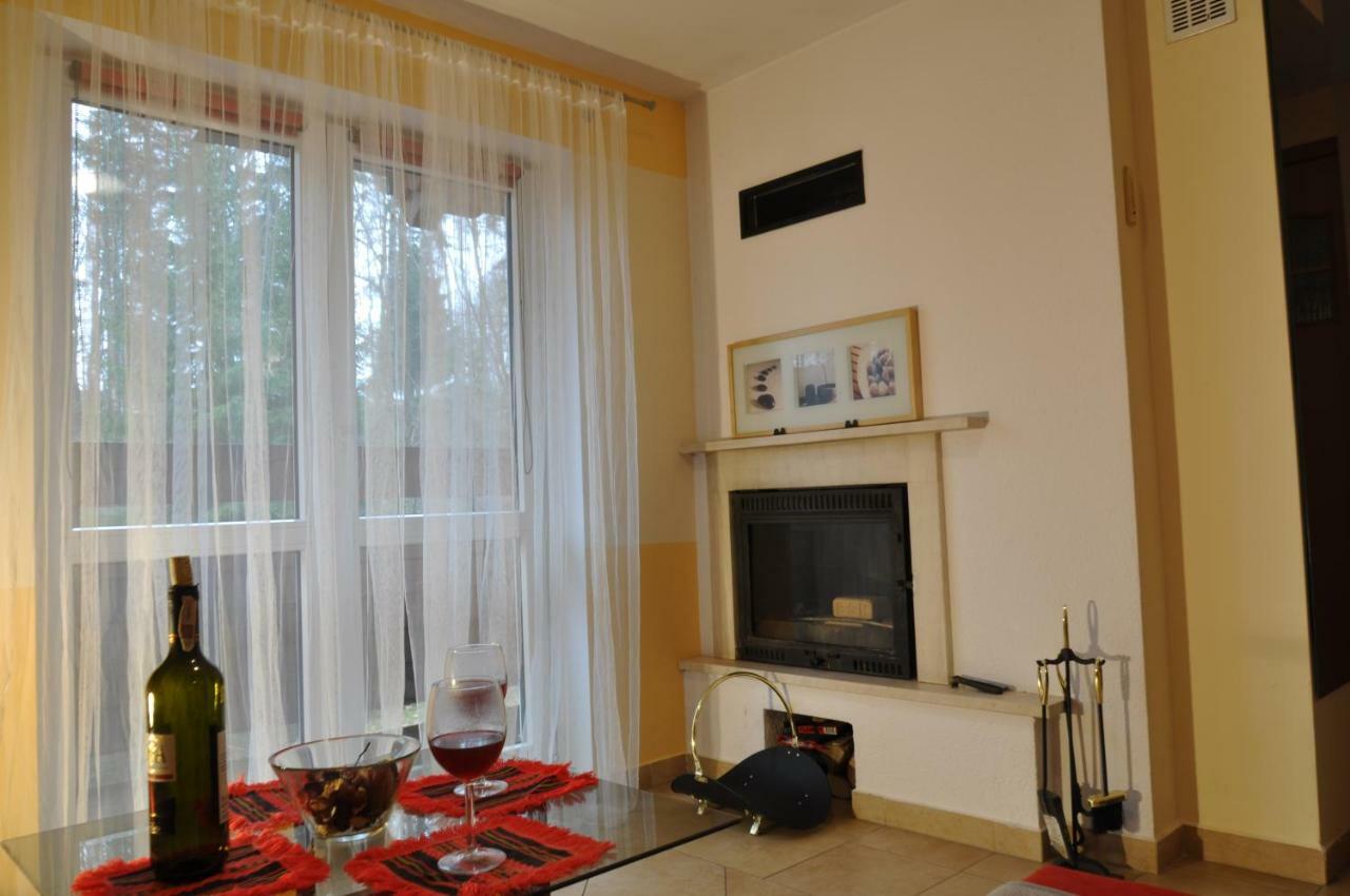 Apartamenty Sobiczkowa Wyspa Косцелиско Экстерьер фото